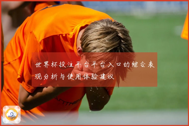 世界杯投注平台平台入口的综合表现分析与使用体验建议