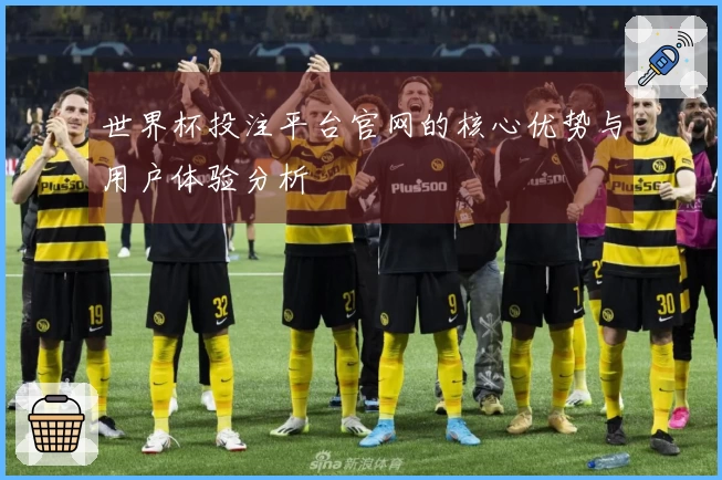 世界杯投注平台官网的核心优势与用户体验分析