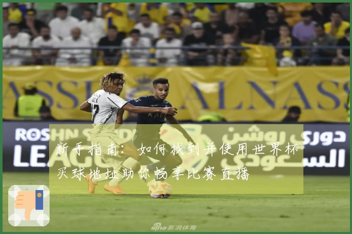 新手指南：如何找到并使用世界杯买球地址助你畅享比赛直播