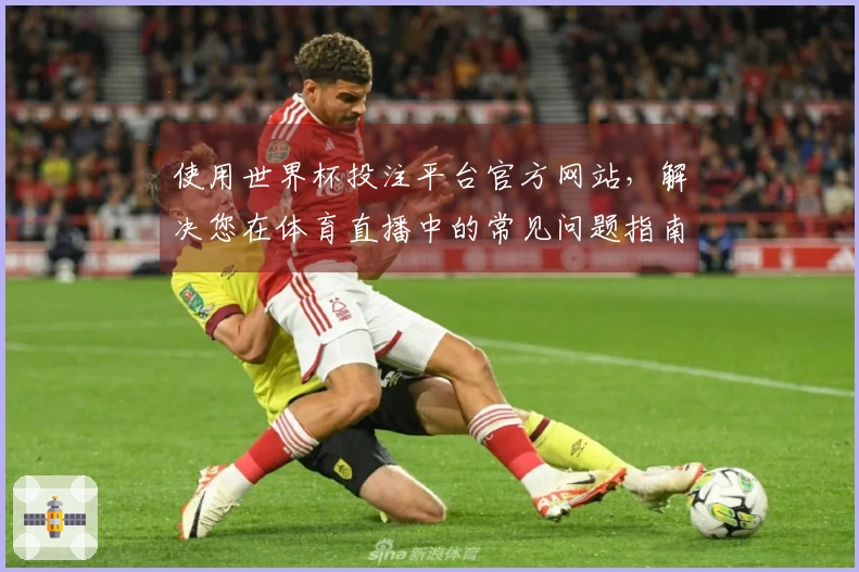 使用世界杯投注平台官方网站，解决您在体育直播中的常见问题指南